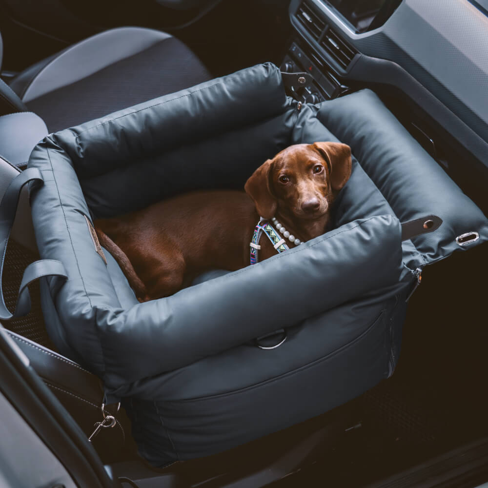 DoggyLux- Luxe Hondengereedschap voor Comfortabele Autoreizen